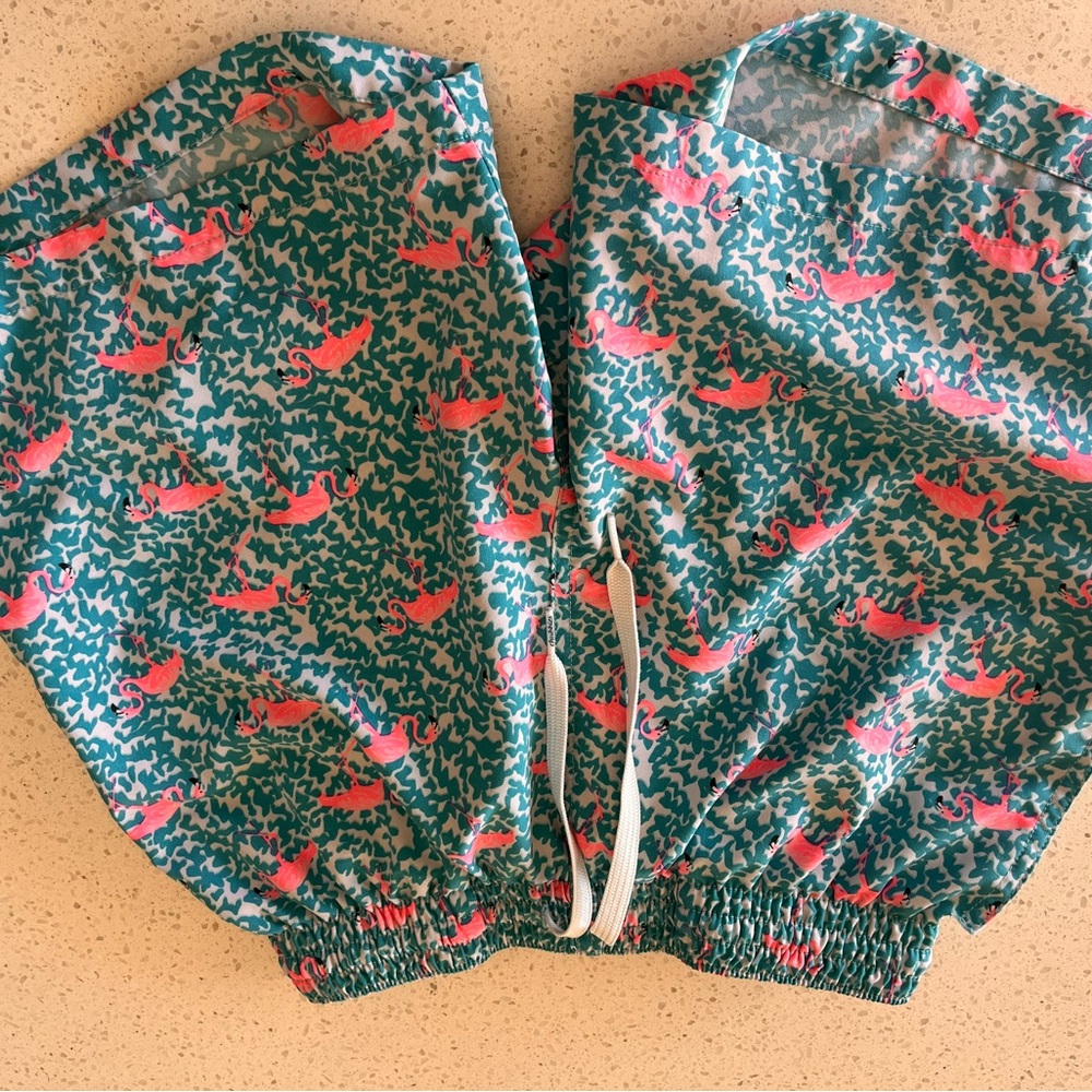 Chubbies Teal and Pink Patterned Men Shorts